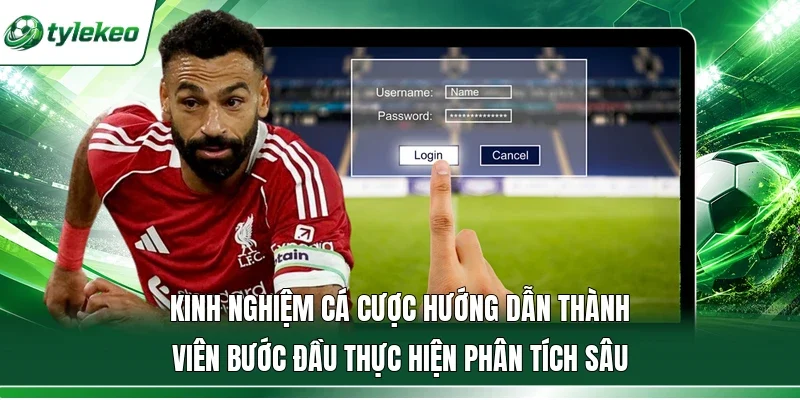 Kinh nghiệm cá cược hướng dẫn thành viên bước đầu thực hiện phân tích sâu