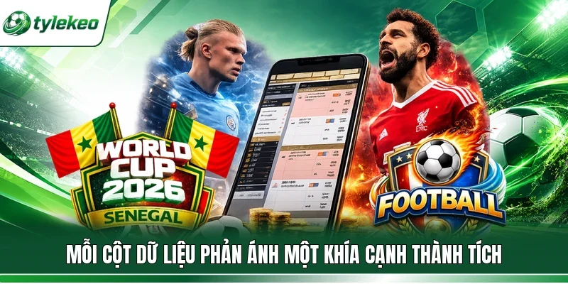 Mỗi cột dữ liệu phản ánh một khía cạnh thành tích