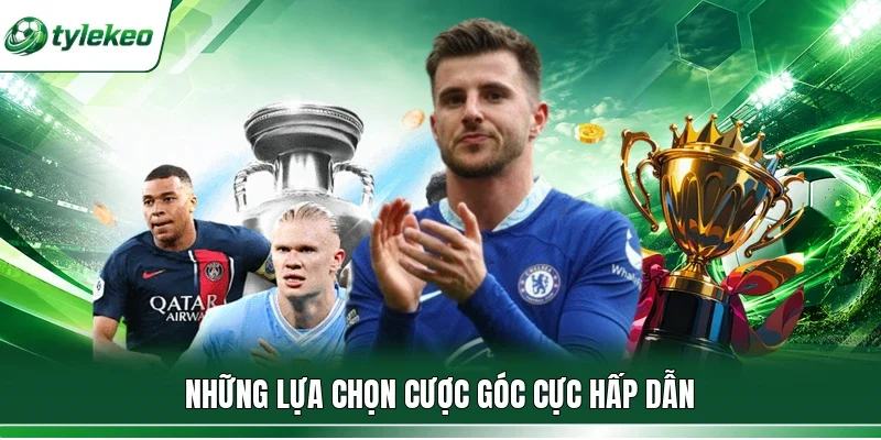 Những lựa chọn cược góc cực hấp dẫn