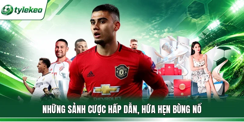 Những sảnh cược hấp dẫn, hứa hẹn bùng nổ
