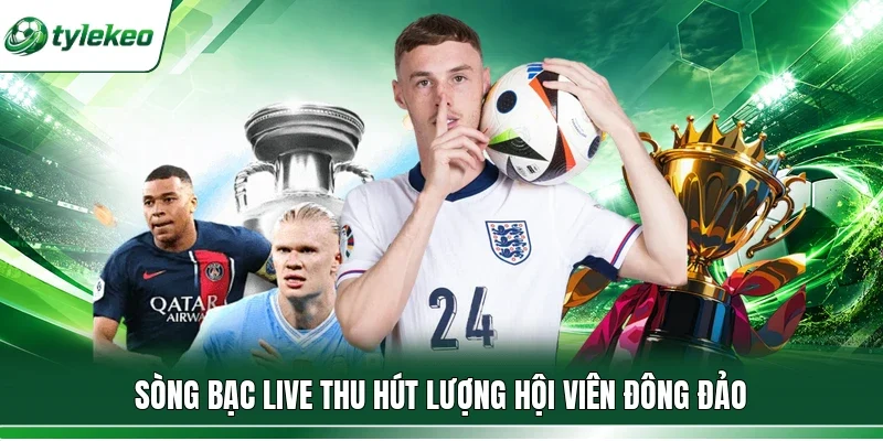 Sòng bạc live thu hút lượng hội viên đông đảo