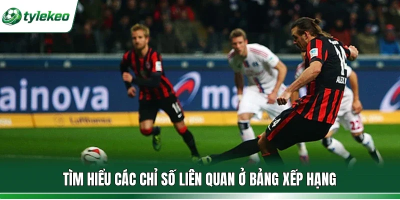 Tìm hiểu các chỉ số liên quan ở bảng xếp hạng