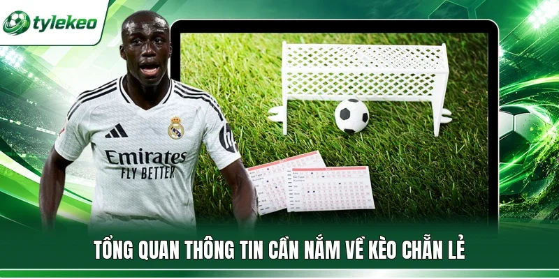 Tổng quan thông tin cần nắm về kèo chẵn lẻ
